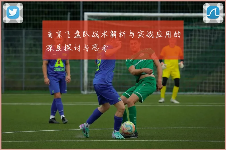 南京飞盘队战术解析与实战应用的深度探讨与思考